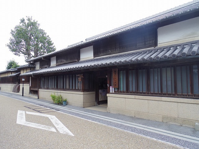 IMGP8242.jpg
