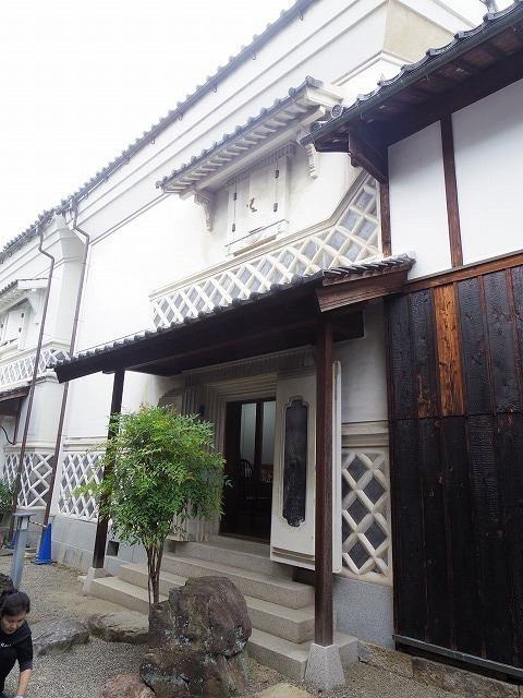 IMGP8244.jpg