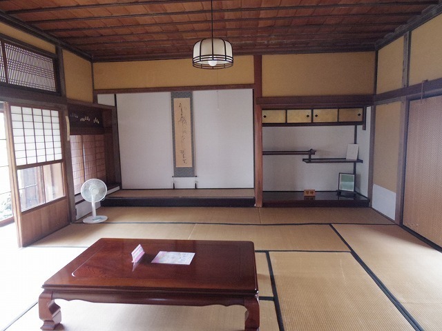 IMGP8261.jpg