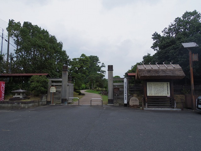 IMGP8278.jpg