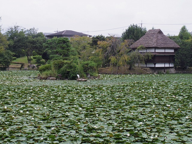 IMGP8283.jpg