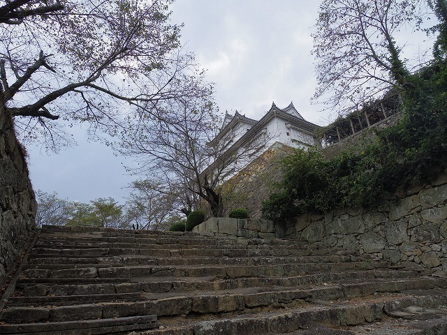 IMGP8300.jpg