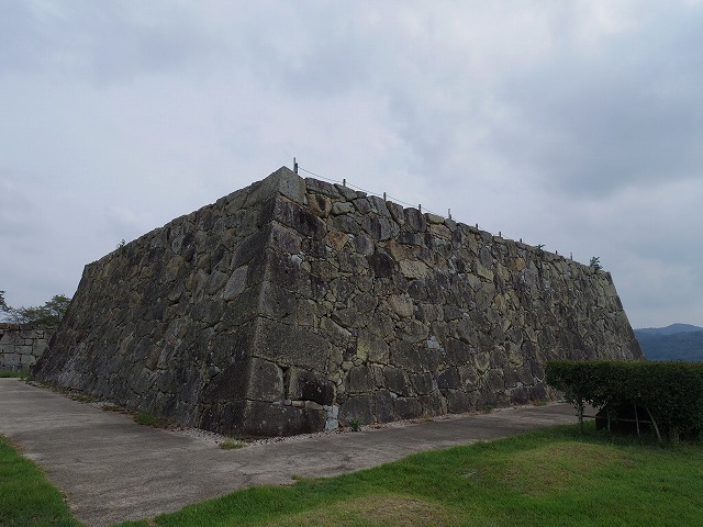 IMGP8317.jpg