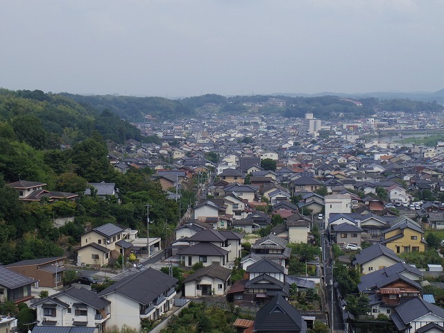 IMGP8322.jpg