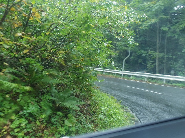 IMGP8508.jpg