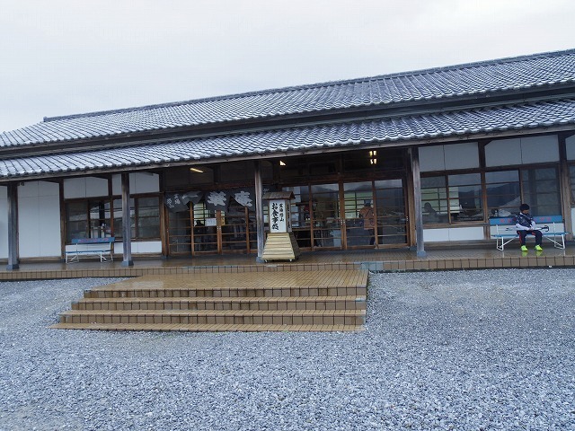 IMGP8518.jpg