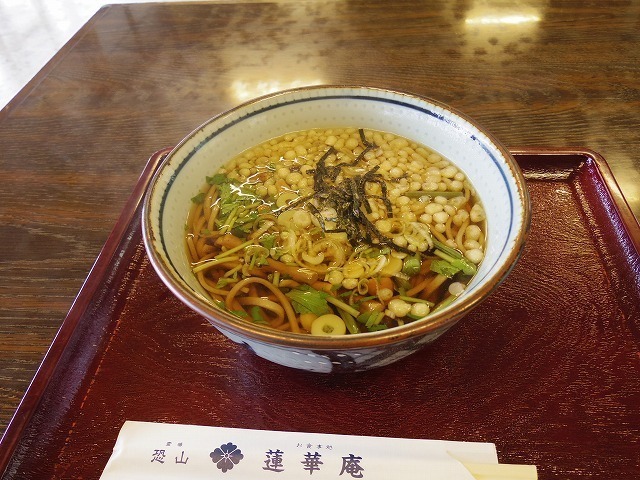 IMGP8519.jpg