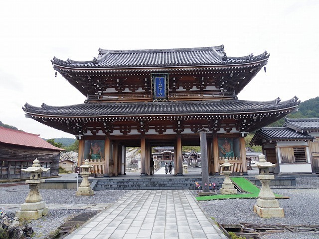 IMGP8528.jpg