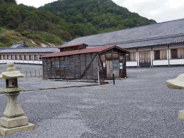 IMGP8529.jpg