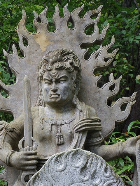 IMGP8547.jpg
