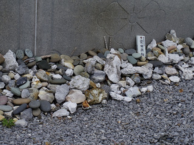 IMGP8573.jpg