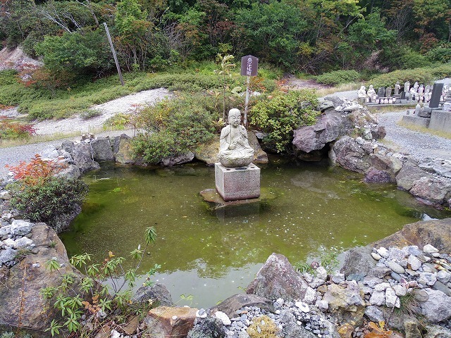IMGP8587.jpg