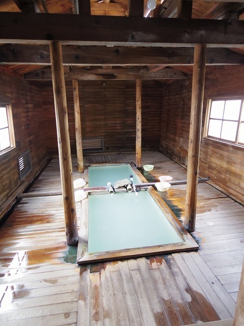 IMGP8642.jpg