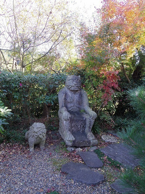 IMGP9162.jpg