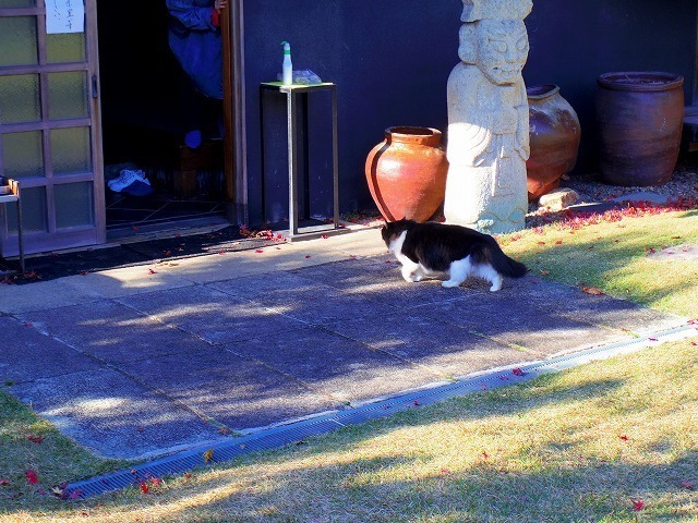 IMGP9169.jpg