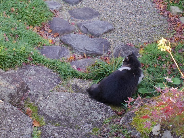 IMGP9183.jpg