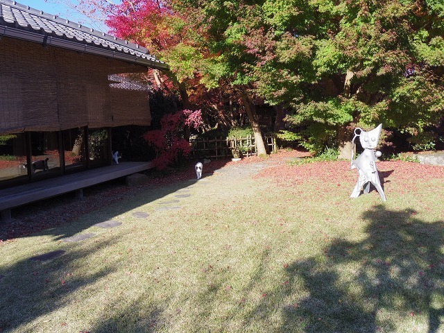 IMGP9192.jpg
