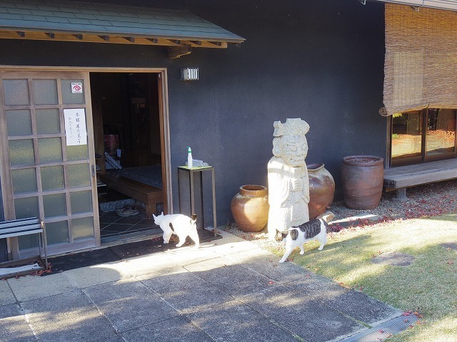 IMGP9196.jpg