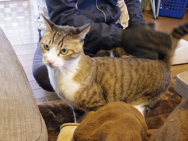 IMGP9818.jpg