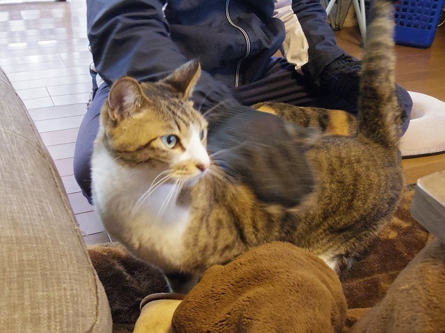 IMGP9819.jpg