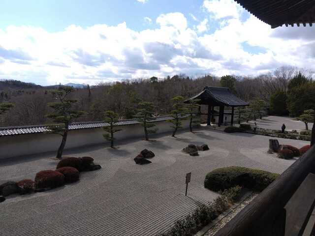 IMG_2024-03-09-13-22-54-974.jpg