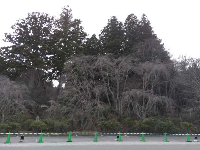 IMG_2024-04-01-13-32-00-950.jpg
