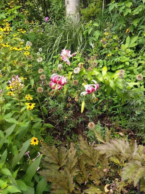 IMG_2024-08-14-13-19-27-962.jpg