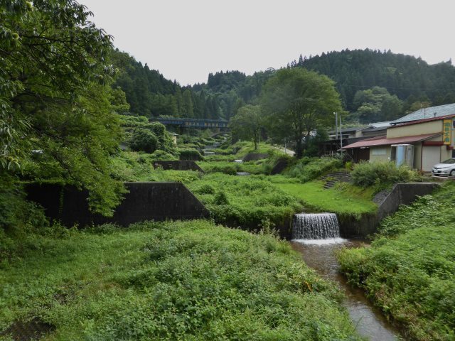 P1080039 (640x480).jpg