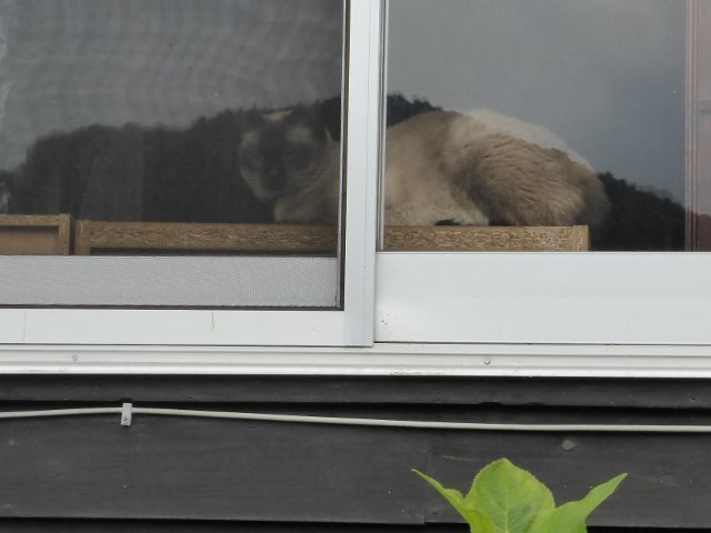 P1080052 (640x480).jpg