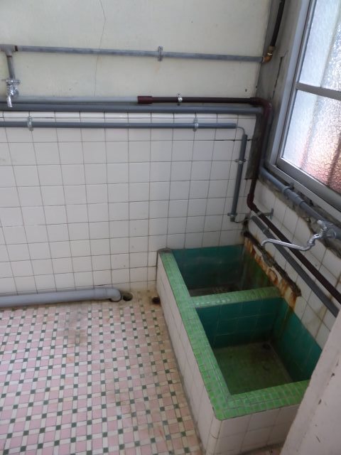 P1080090 (480x640).jpg
