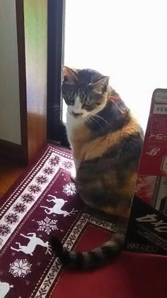 m_DSC_007520(360x640)-43287.jpg